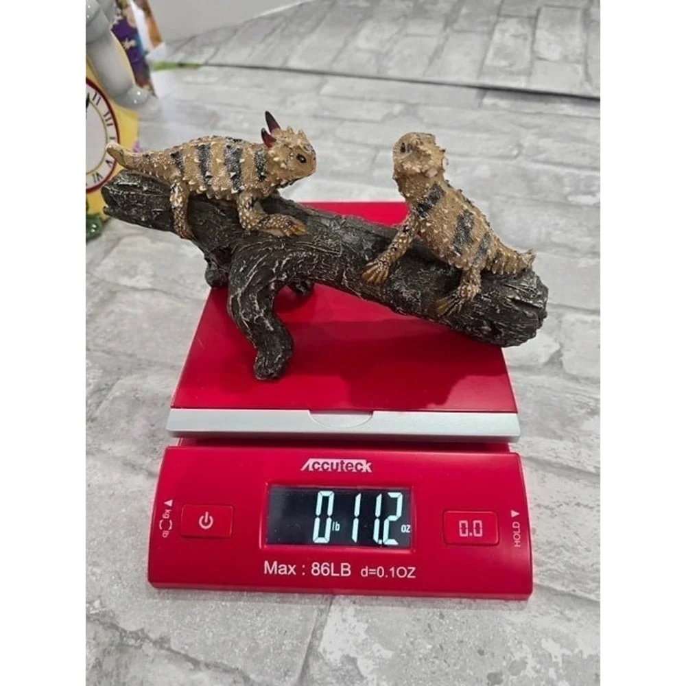 Reptile Cage Cccessories Texas Horned Lizards On‎ Tree Stump